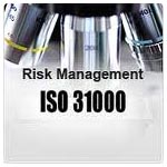 31000-2009 Risk Management Standard